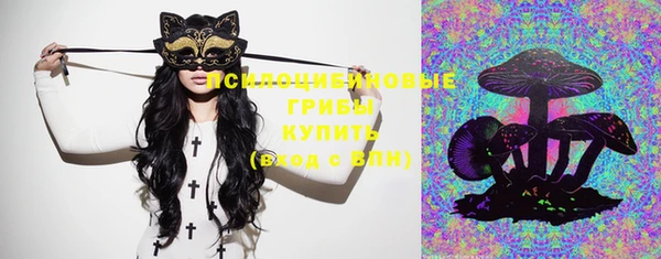 синтетический гашиш Каменка