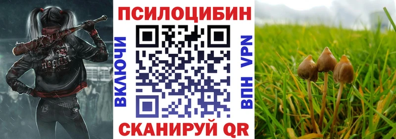 Купить закладки  Северская  Галлюциногенные грибы мицелий 